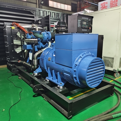 Générateur de biogaz de 300 kW 50Hz 400V 375kva Générateur de biogaz pour l'électricité