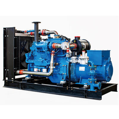 Générateur de gaz naturel de 300 kW de Weichai WP10D238E301NG Solution rentable
